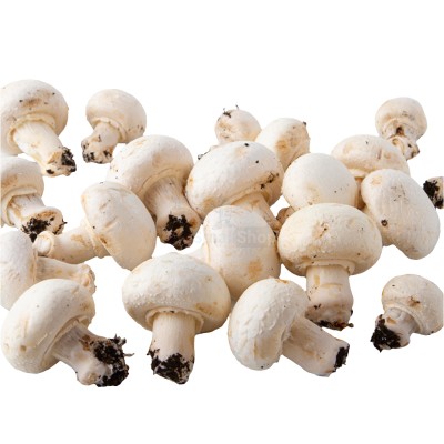 Шампиньоны свежие 500 г - купить в Табулдаке